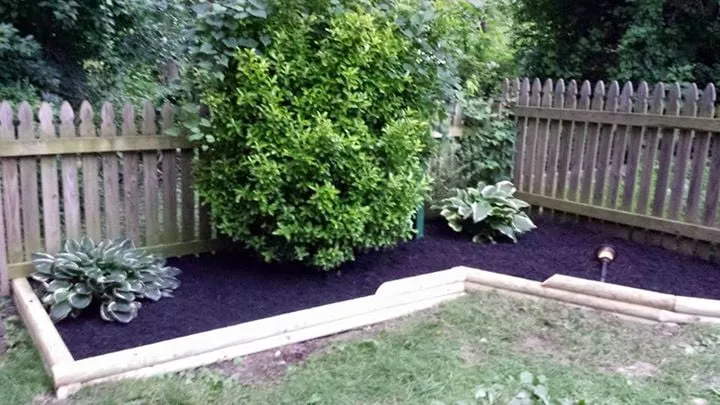 Reliable lawn care service in Nottingham, MD by Horton & Sons Landscaping