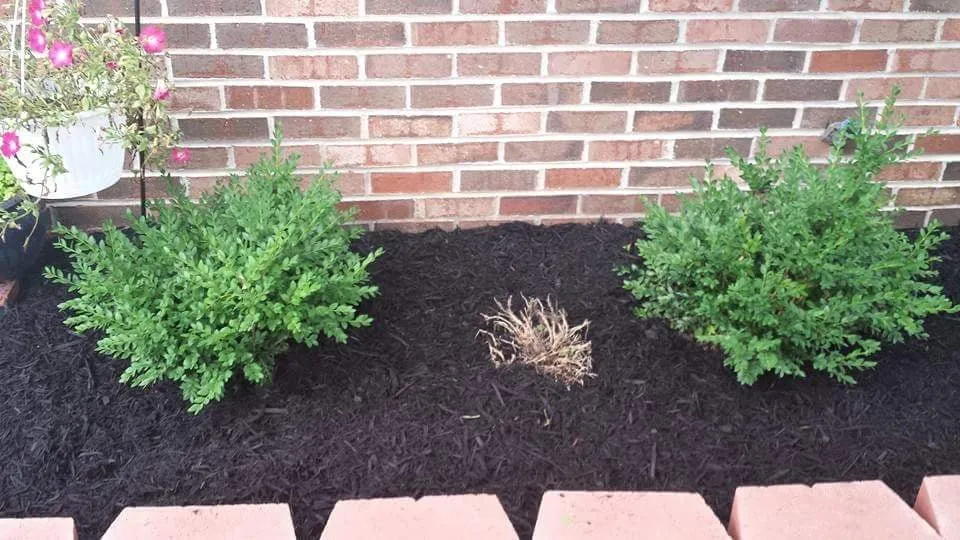 Custom landscape installation experts serving Nottingham, MD - Horton & Sons Landscaping