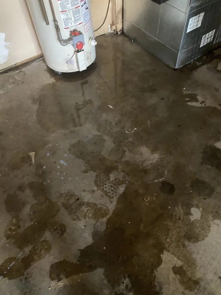 Expert garden landscaping near you across Moody, AL - Horton Home Improvement and Lawn Care