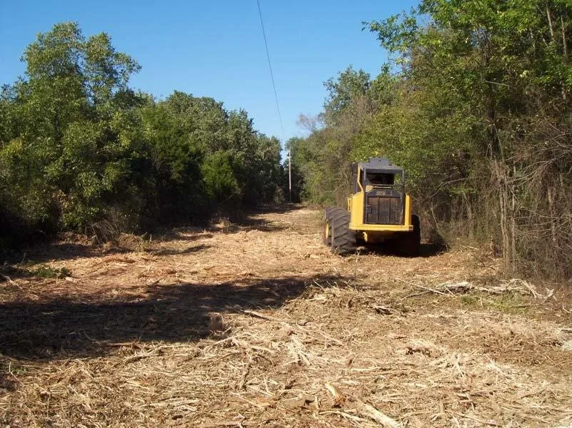 Affordable residential landscaping in Crowley, TX by Horton Tree Service
