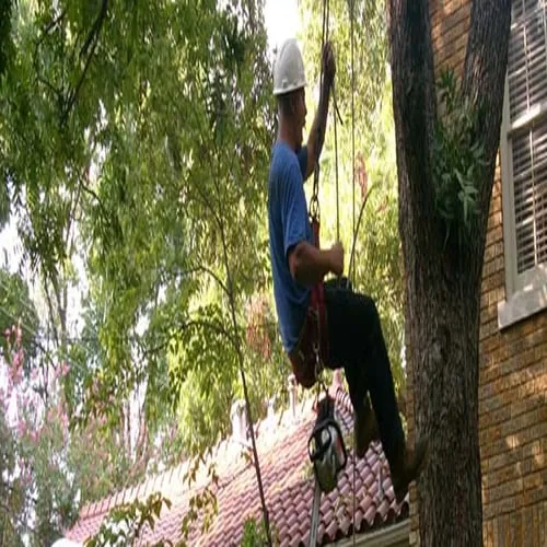 Top-rated residential landscaping experts serving Crowley, TX - Horton Tree Service