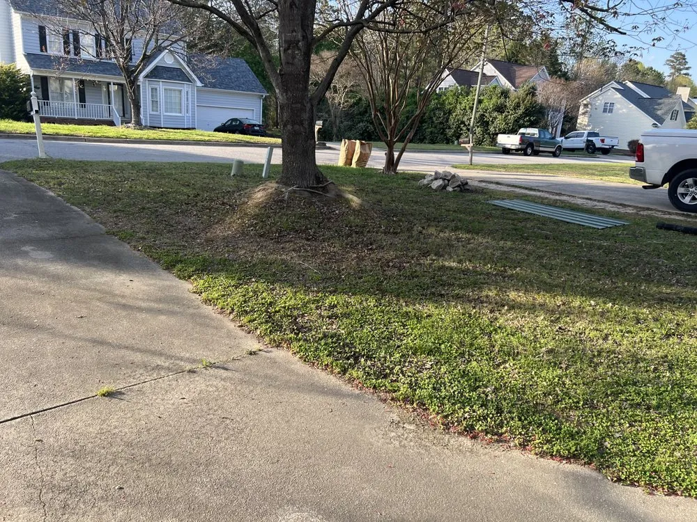 Local landscaping services near you in Wendell, NC by Horton’s Landscaping