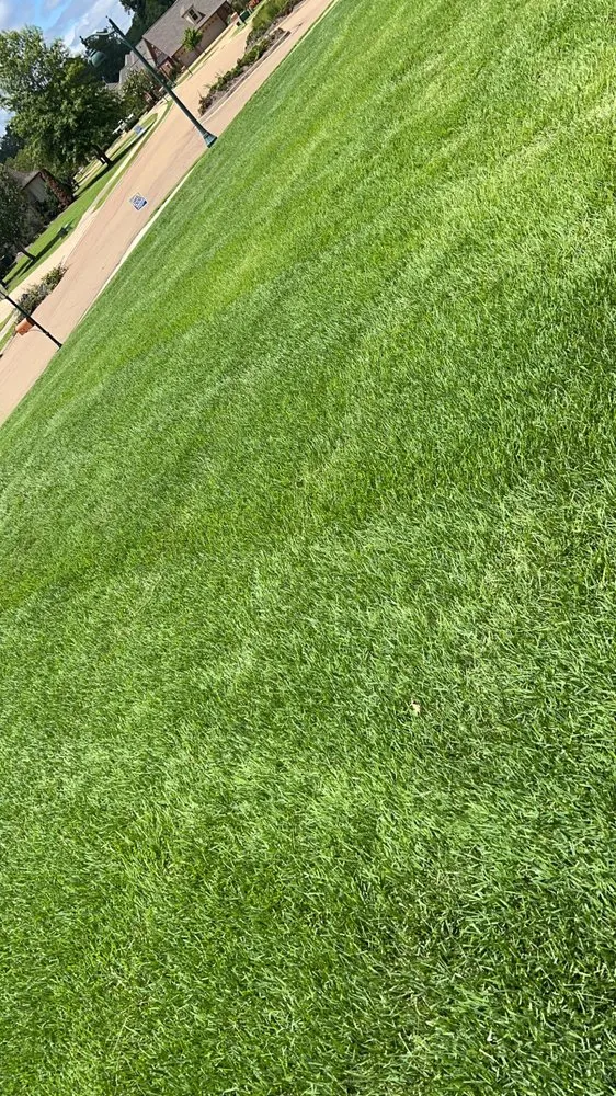 Local lawn mowing service near you in Pearl, MS by Horton’s Lawn Service