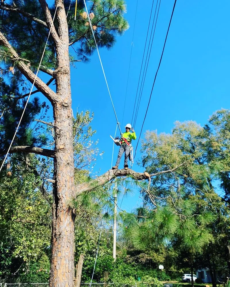 Trusted outdoor landscaping in Corsicana, TX - Horton's Tree Services