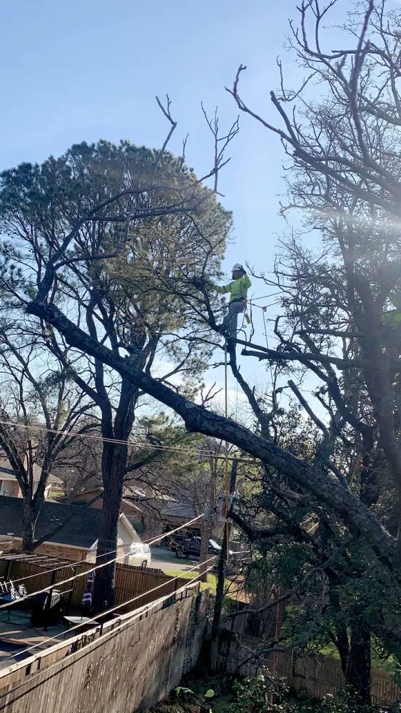 Affordable landscape installation with custom design across Corsicana, TX - Horton's Tree Services