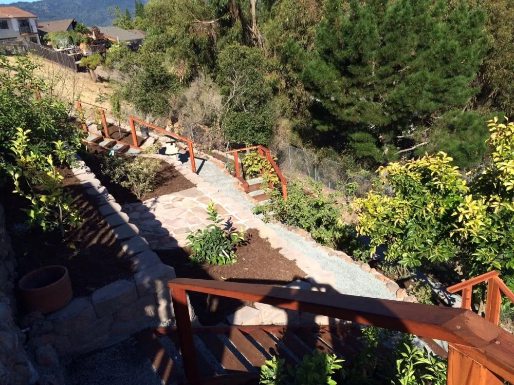 Local landscape design in Palo Alto, CA by Hortus Design Sustainable Landscapes