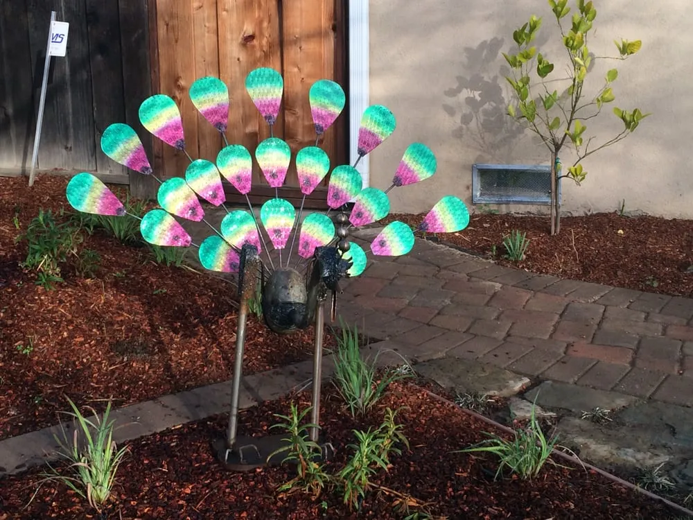 Custom lawn mowing service near you in Palo Alto, CA by Hortus Design Sustainable Landscapes