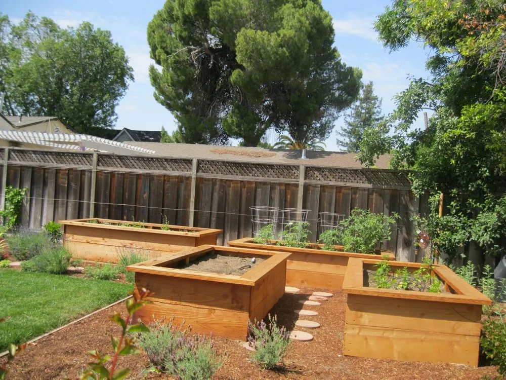 Trusted yard maintenance experts serving Palo Alto, CA - Hortus Design Sustainable Landscapes