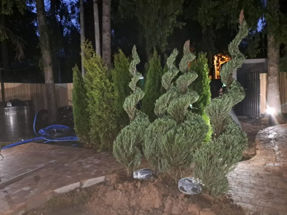 Professional lawn mowing service in Charlotte, NC - Hortus-Flora