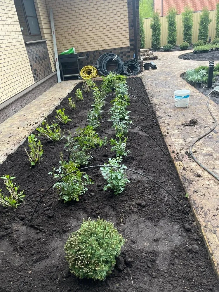 Affordable garden landscaping in Charlotte, NC - Hortus-Flora