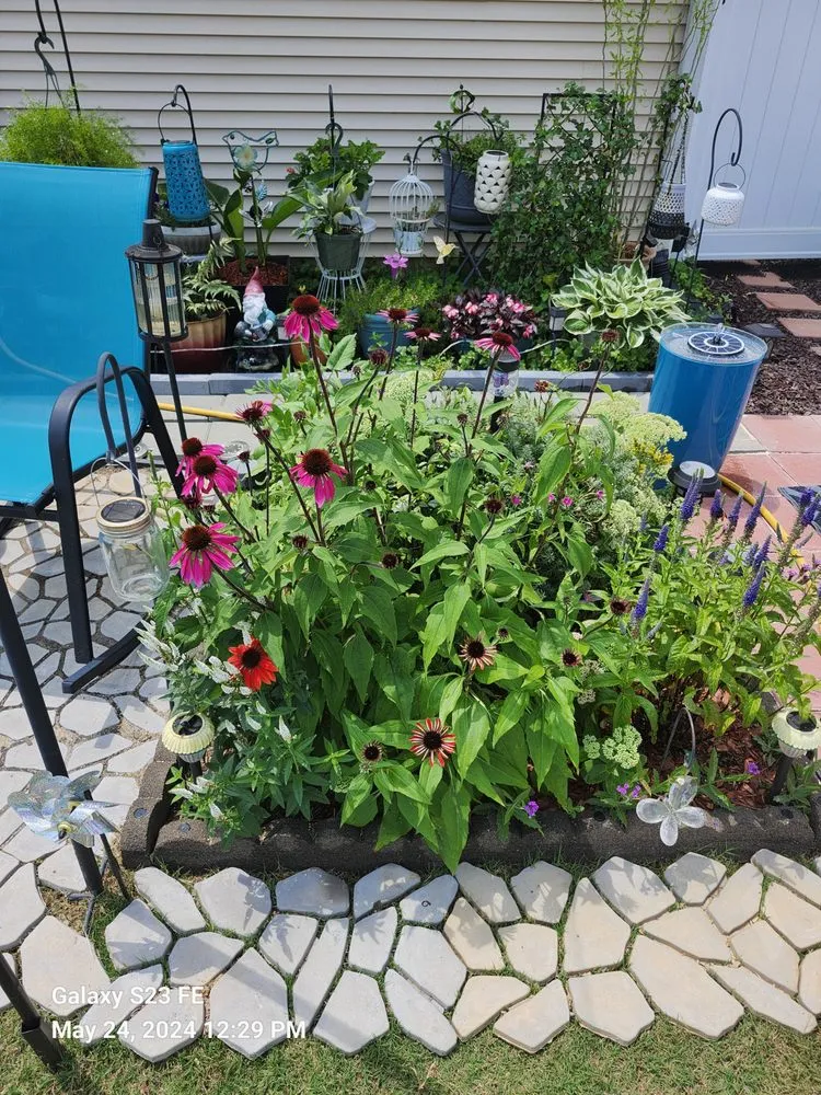 Custom residential landscaping in Newnan, GA - Hortus Habits