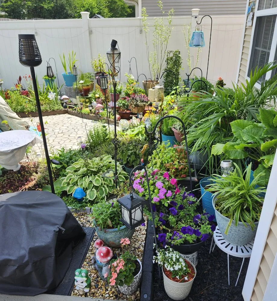 Reliable outdoor landscaping in Newnan, GA - Hortus Habits