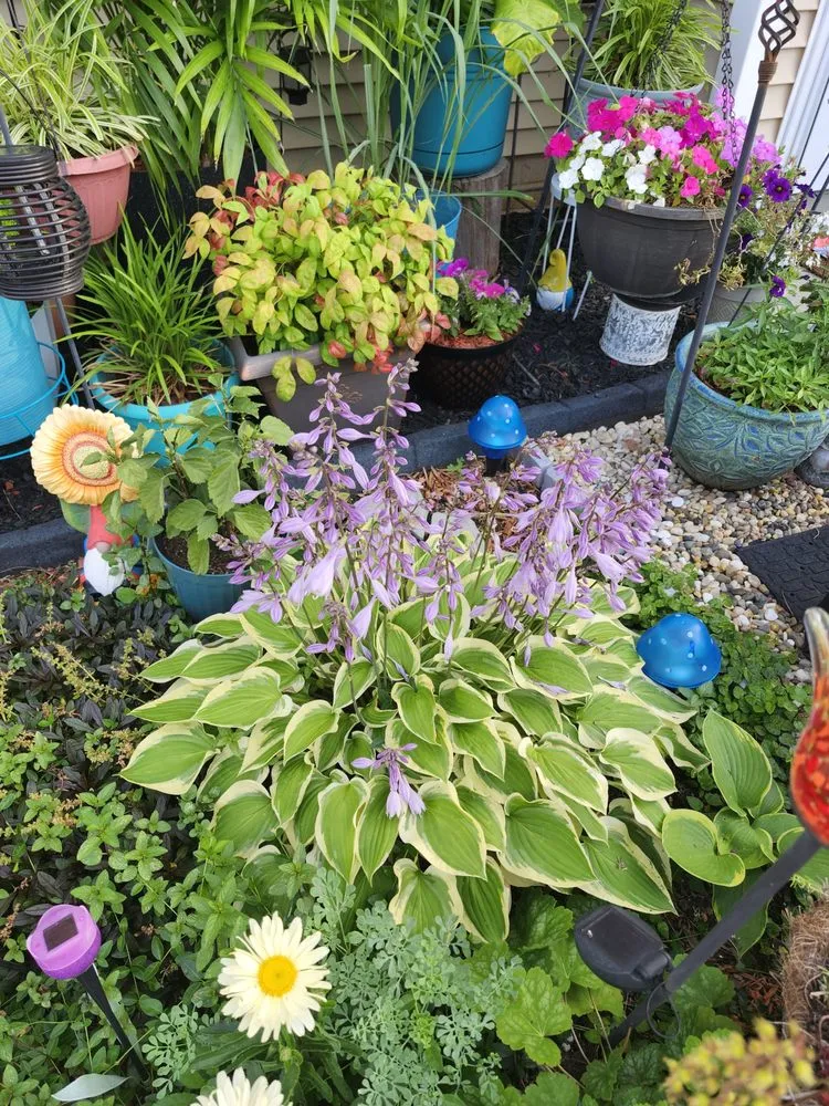 Custom yard cleanup service with custom design across Newnan, GA - Hortus Habits