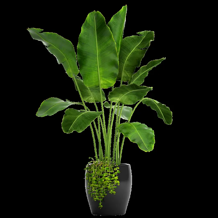 Affordable lawn mowing service in Thousand Oaks, CA - Hortus Landscape & Gardening