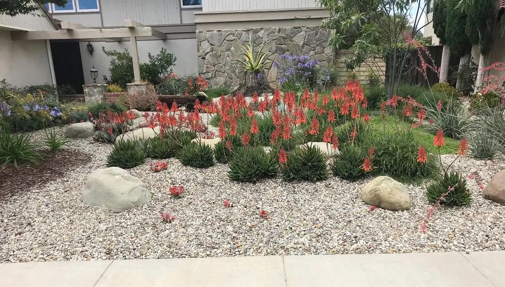 Top-rated yard maintenance for beautiful yards in Thousand Oaks, CA by Hortus Landscape & Gardening