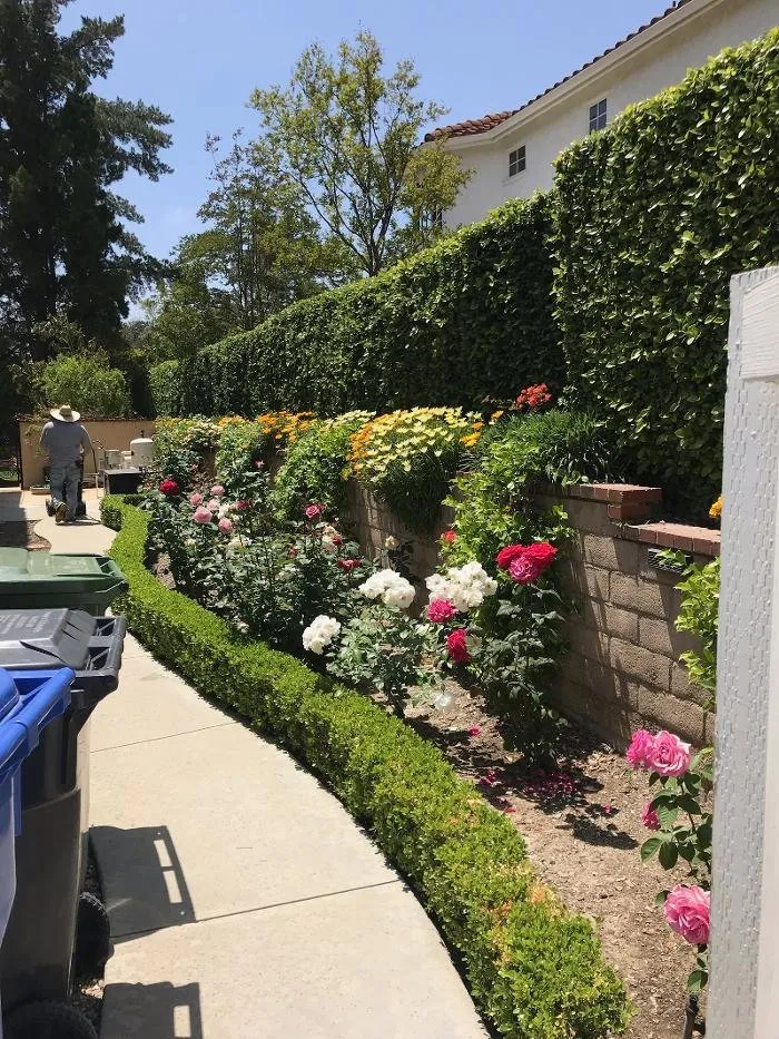 Top-rated landscape design in Thousand Oaks, CA by Hortus Landscape & Gardening