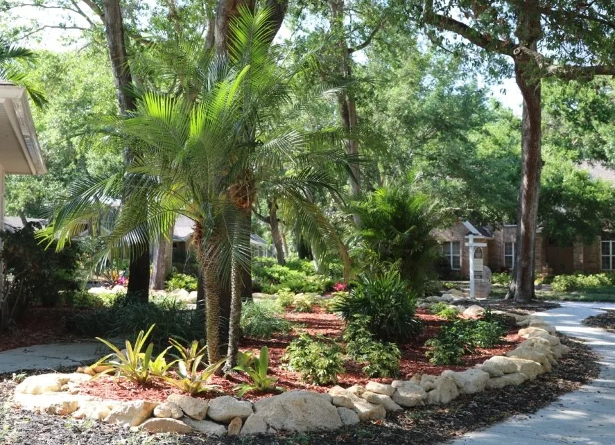Reliable landscape installation for homes in Melbourne, FL by Hortus Landscaping