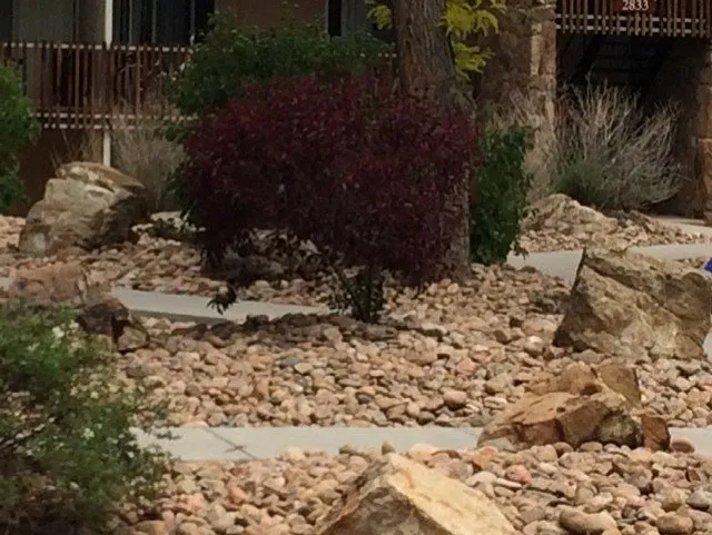 Local yard maintenance for residential properties across Colorado Springs, CO - Hortus Tree & Landscape Services