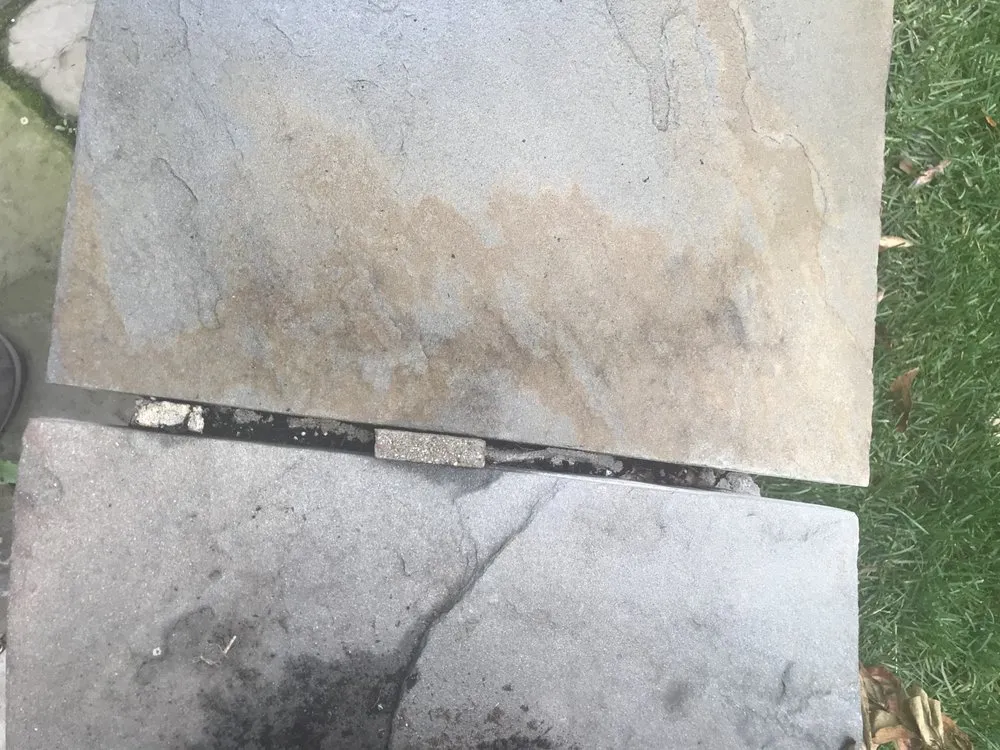 Expert yard cleanup service in Lake Bluff, IL by Horvat Design Group