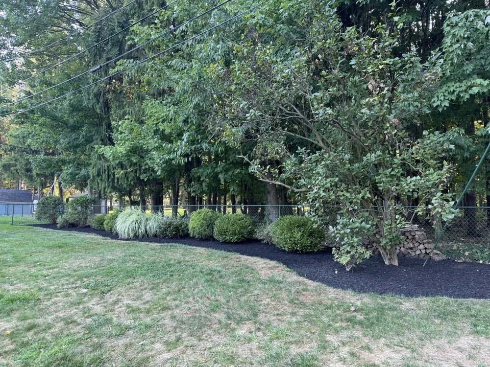 Professional lawn mowing service in Olmsted Falls, OH by Horvath Lawn And Landscape