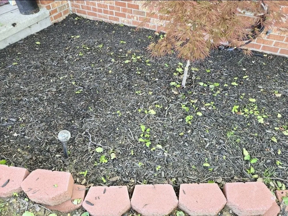 Professional yard cleanup service in Abingdon, MD - Horzion home and lawn care