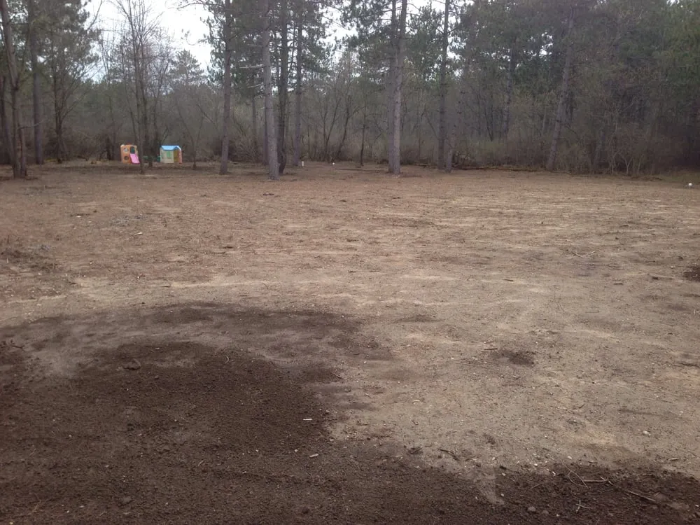 Affordable yard cleanup service experts serving Jackson, WI - Hose & Ladder Lawn Services