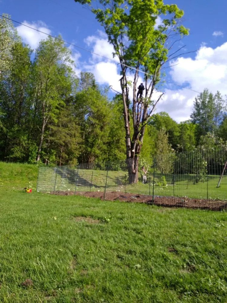 Trusted yard cleanup service for outdoor upgrades in Lebanon, NH by Hoshs Tree Service
