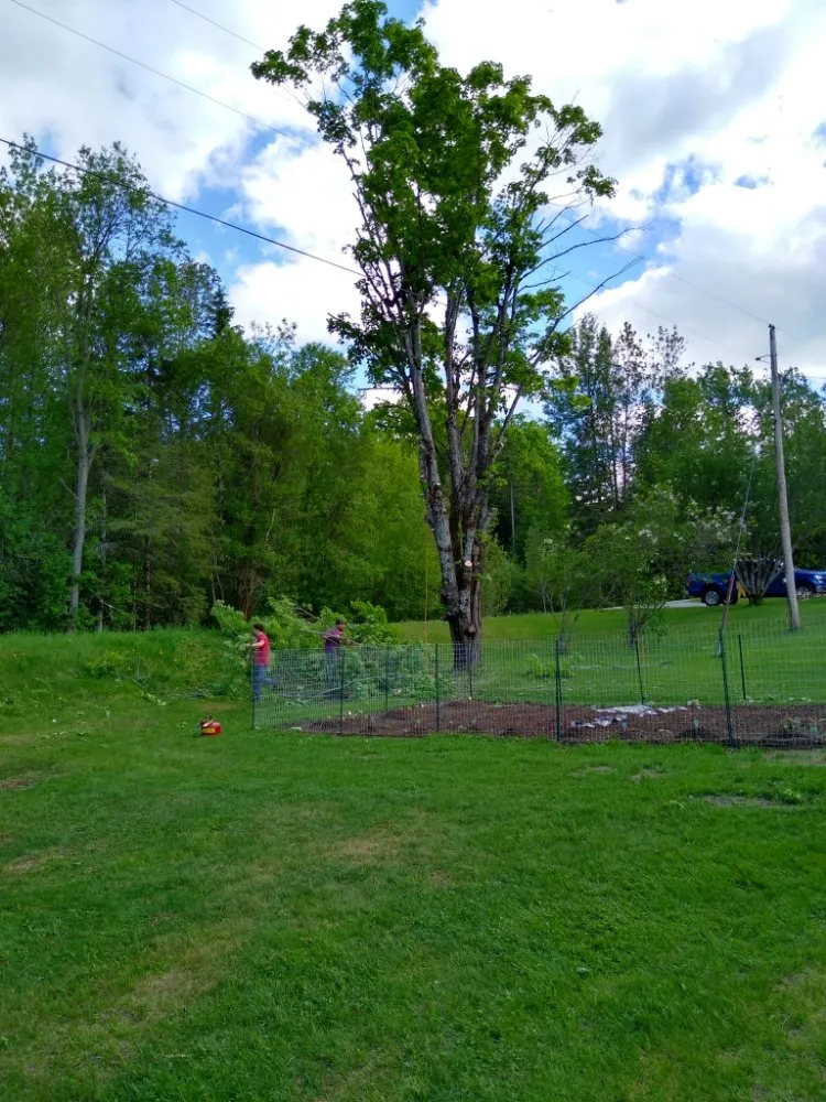 Professional landscaping services in Lebanon, NH by Hoshs Tree Service