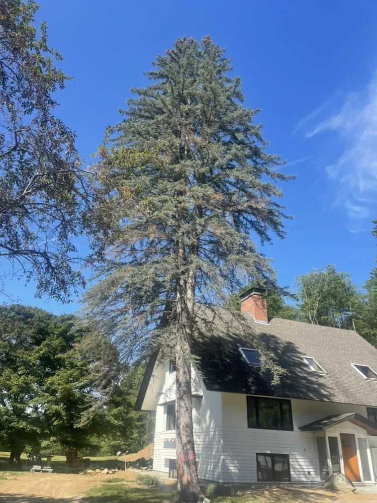 Professional residential landscaping for year-round maintenance in Lebanon, NH by Hoshs Tree Service