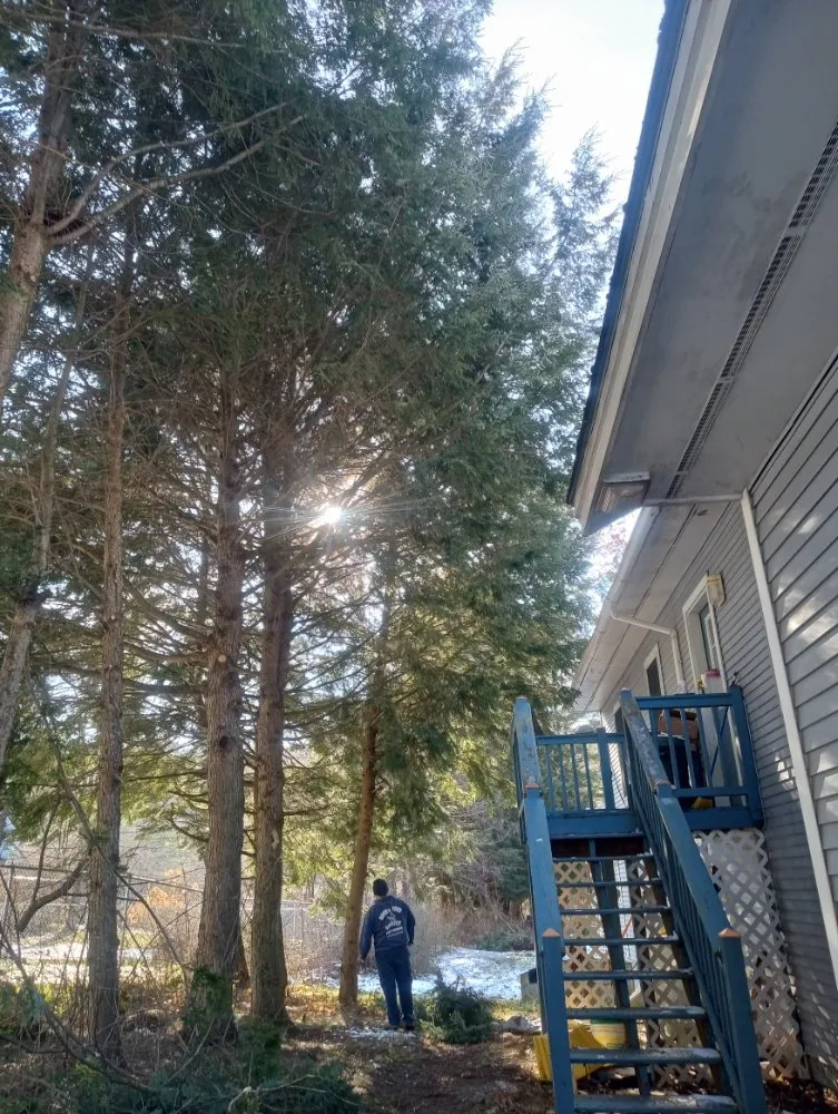 Reliable outdoor landscaping with custom design in Lebanon, NH by Hoshs Tree Service