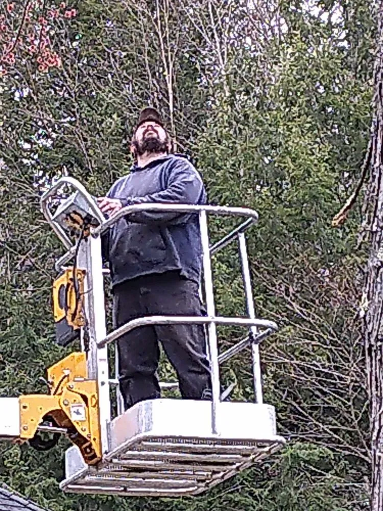 Local yard cleanup service in Lebanon, NH - Hoshs Tree Service