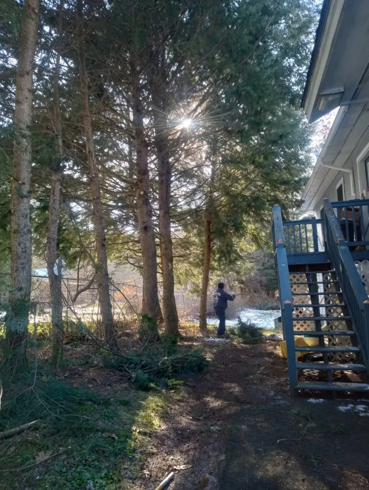 Custom yard maintenance in Lebanon, NH - Hoshs Tree Service