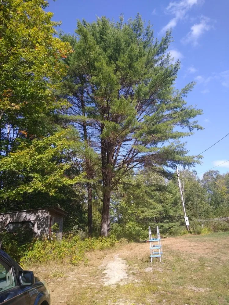 Local landscape installation experts serving Lebanon, NH - Hoshs Tree Service