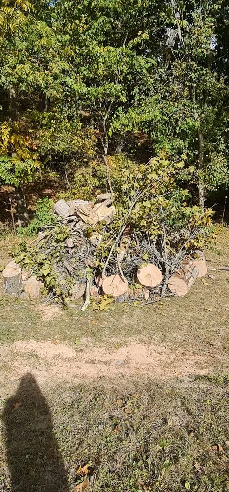 Custom yard cleanup service in Chester, IL by Hoskin Haus Tree Service & Pressure Washing