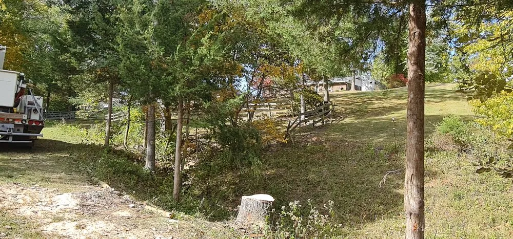 Custom yard cleanup service in Chester, IL - Hoskin Haus Tree Service & Pressure Washing