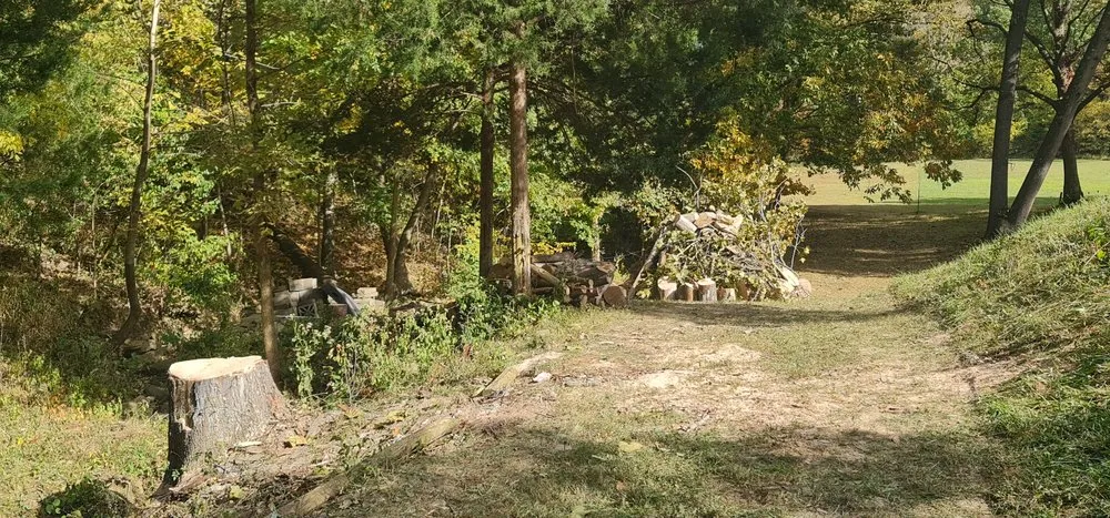 Expert outdoor landscaping in Chester, IL - Hoskin Haus Tree Service & Pressure Washing