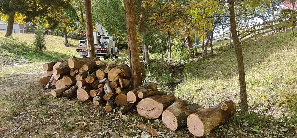 Local landscape design experts serving Chester, IL - Hoskin Haus Tree Service & Pressure Washing
