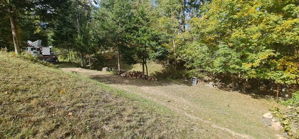 Affordable landscape installation in Chester, IL by Hoskin Haus Tree Service & Pressure Washing