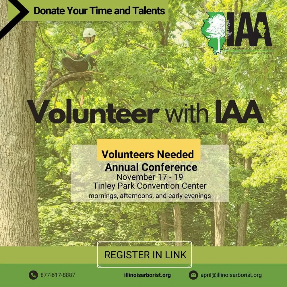 Local landscape design for residential properties in Chester, IL by Hoskin Haus Tree Service & Pressure Washing