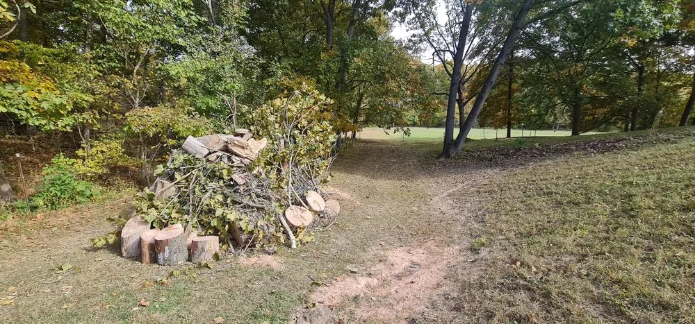 Reliable lawn mowing service for outdoor upgrades across Chester, IL - Hoskin Haus Tree Service & Pressure Washing