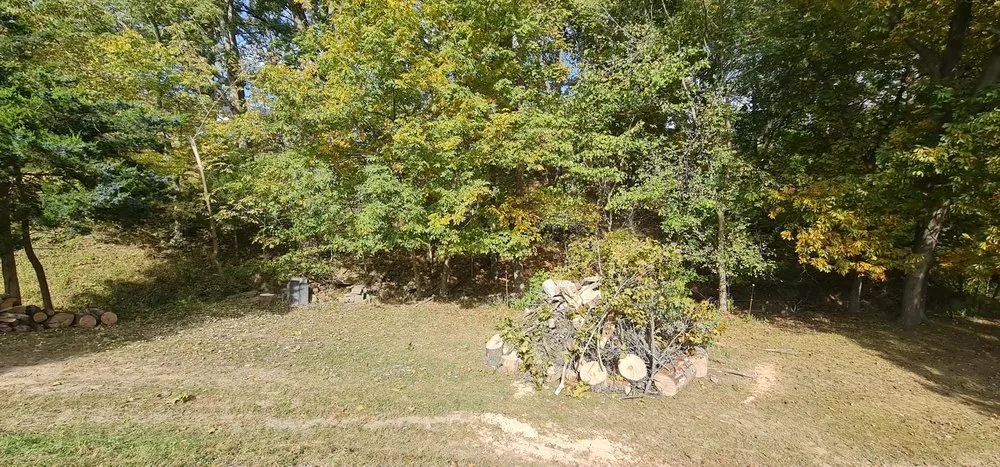 Expert yard cleanup service for homes across Chester, IL - Hoskin Haus Tree Service & Pressure Washing