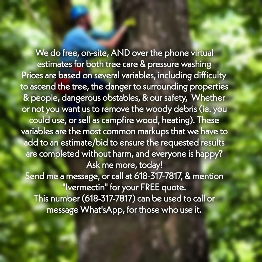 Affordable landscaping services in Chester, IL by Hoskin Haus Tree Service & Pressure Washing