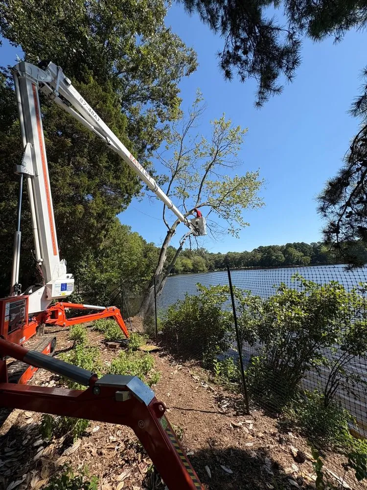 Professional garden landscaping for outdoor upgrades across Chester, IL - Hoskin Haus Tree Service & Pressure Washing