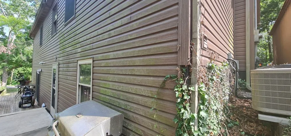 Top-rated landscape design in Chester, IL - Hoskin Haus Tree Service & Pressure Washing