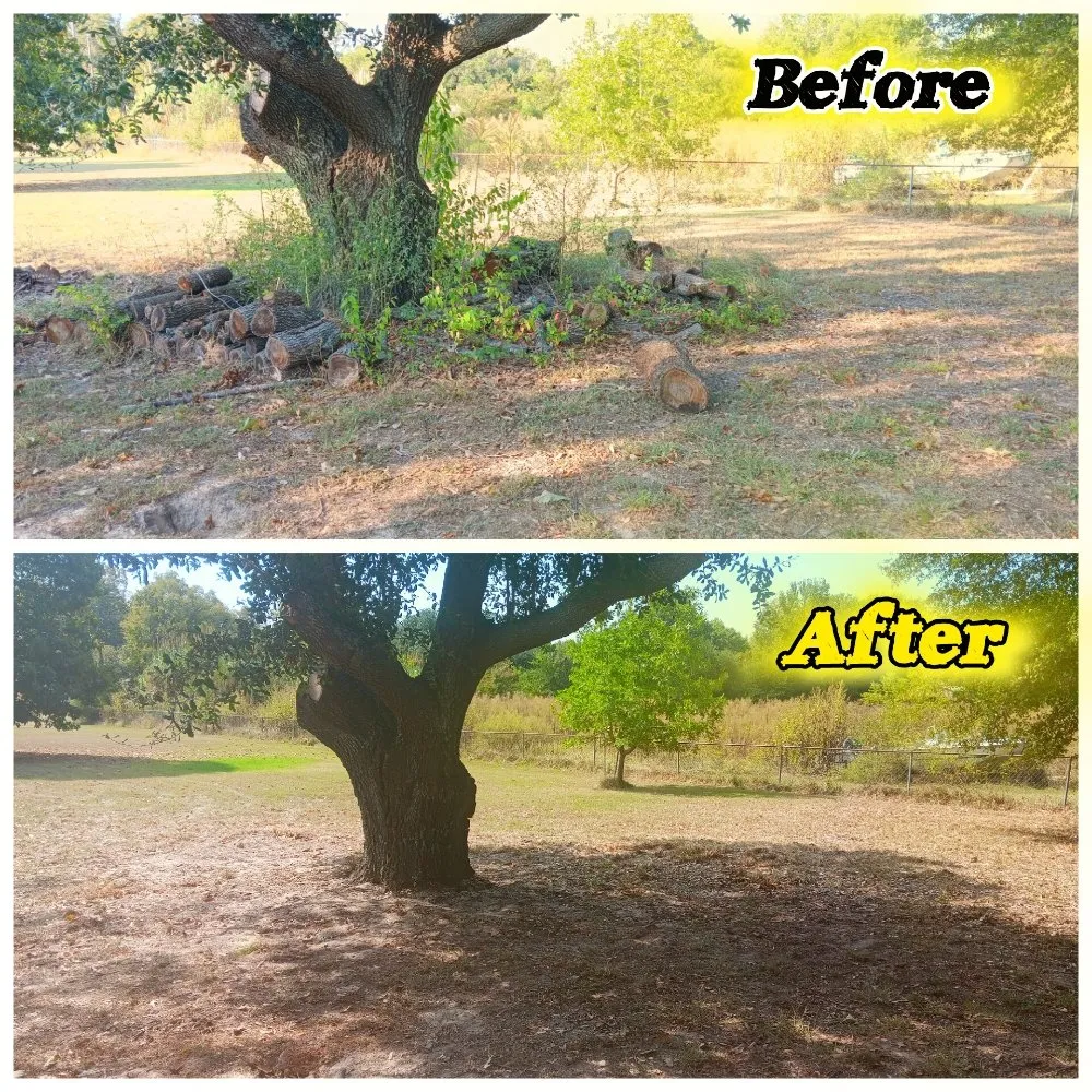 Local landscape design experts serving Tyler, TX - Hoskin Honeydews