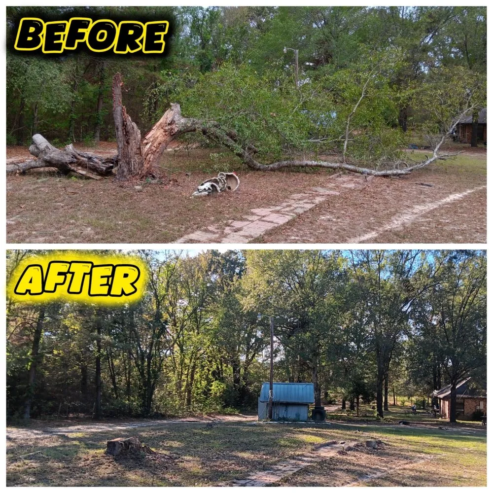 Reliable yard cleanup service for residential properties in Tyler, TX by Hoskin Honeydews