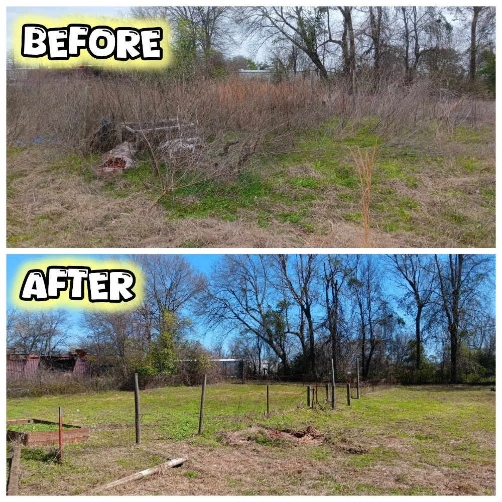 Local landscape design for residential properties in Tyler, TX by Hoskin Honeydews