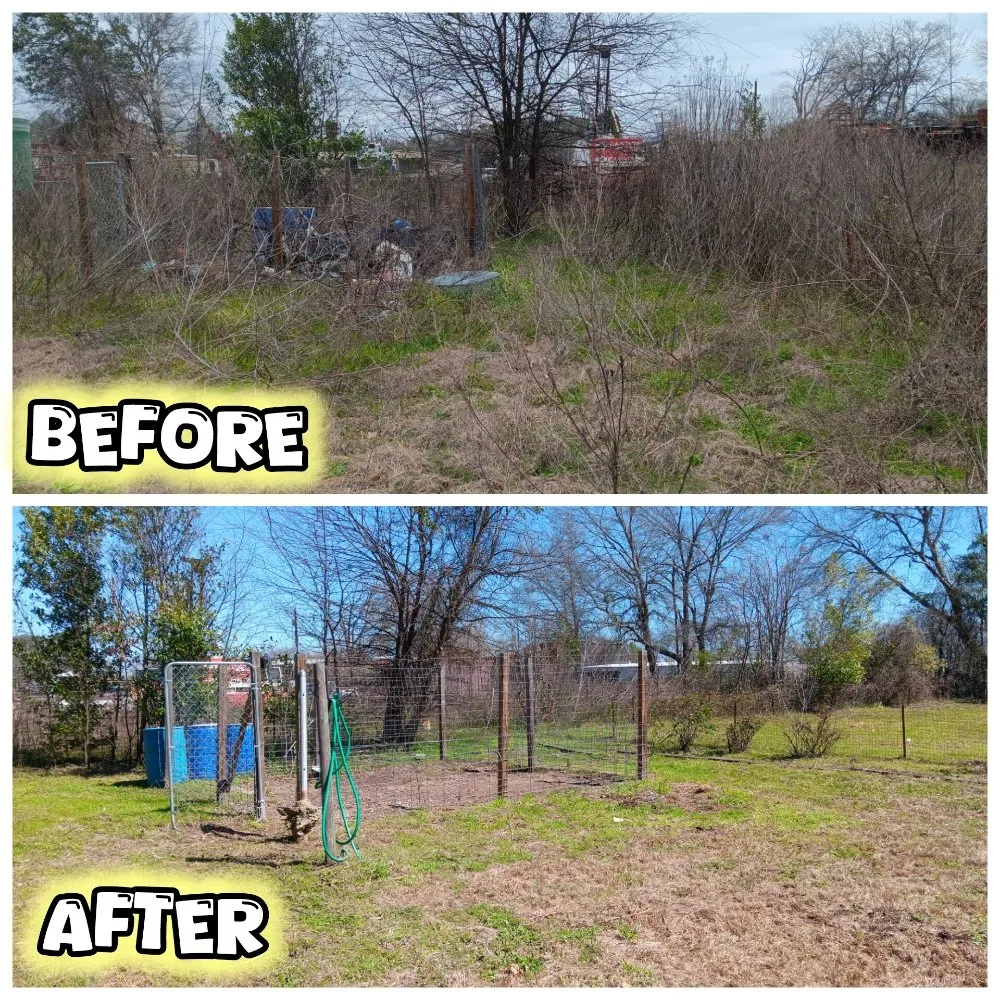 Affordable lawn care service with custom design across Tyler, TX - Hoskin Honeydews