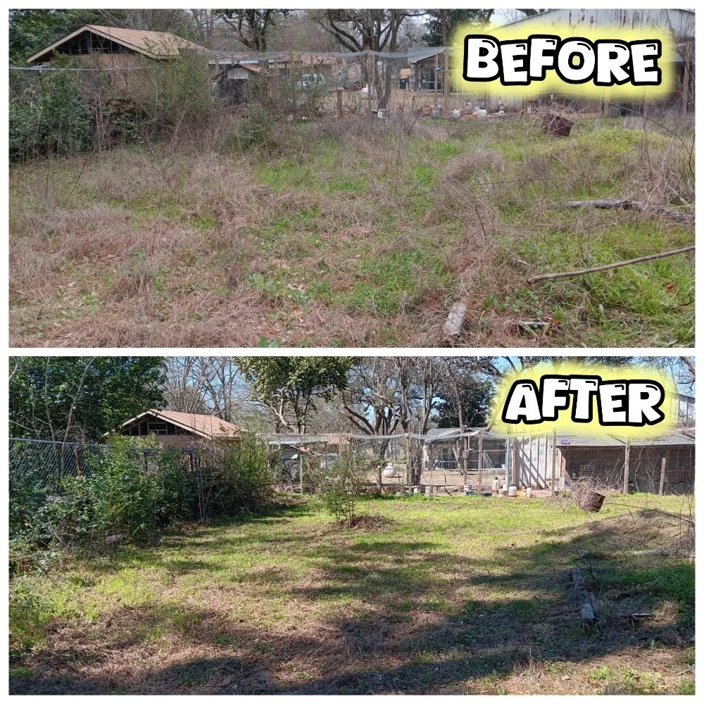 Expert yard cleanup service with custom design across Tyler, TX - Hoskin Honeydews