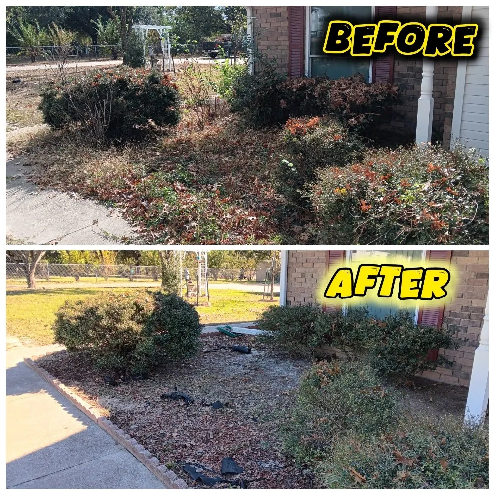 Reliable residential landscaping experts serving Tyler, TX - Hoskin Honeydews
